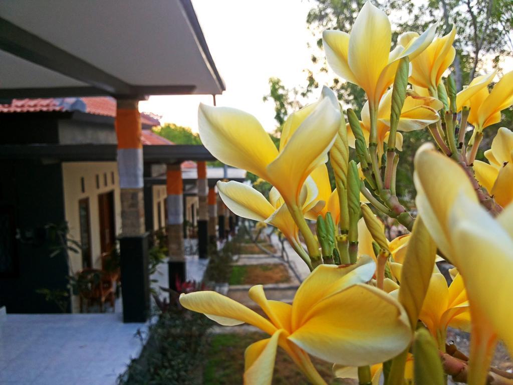Tregge Surf Camp Uluwatu Ξενοδοχείο Εξωτερικό φωτογραφία